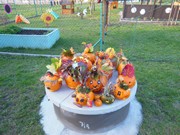 Veselé dýňování s rodiči